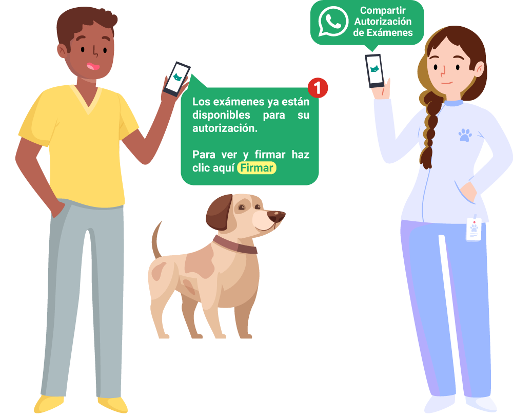 WhatsApp Feature